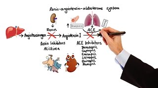 Pharmacology  HYPERTENSION amp ANTIHYPERTENSIVES MADE EASY [upl. by Anerroc]