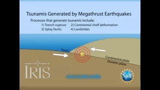 Tsunamis Generated by Megathrust Earthquakes [upl. by Knudson]