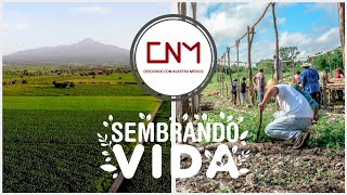 Así funciona sembrando vida el programa de reforestamiento más grande del mundo [upl. by Yenoh]