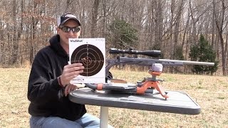 SAVAGE BMAG TARGET 17 WSM REVIEW [upl. by Clementis]