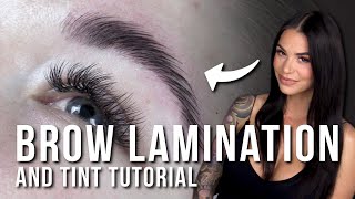 How to Do a Brow Lamination and Tint [upl. by Ariem]