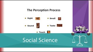 The Perception Process Screencast [upl. by Akemat]