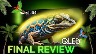 Samsung Q60D NO BS Final Review [upl. by Munmro]