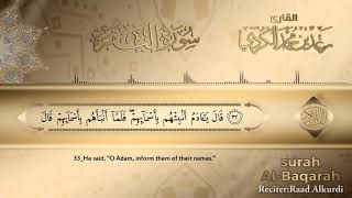 SURAH ALBAQARAH  NO ADS  beautiful Quran Recitation NoAds [upl. by Stillas]