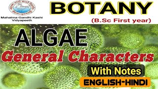 General Characteristics of AlgaeAlgae General FeaturesBSc 1st year [upl. by Sholes876]