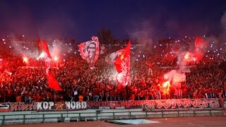 Wydad Casablanca Ultras Ultras Winners [upl. by Peters]