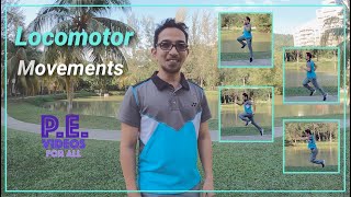 Locomotor movements explained [upl. by Nawuq]