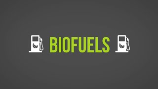 Biofuels 101 [upl. by Buckley]