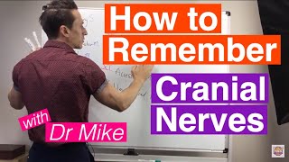 How To Remember Cranial Nerves [upl. by Murphy]