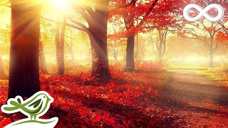 Beautiful Romantic Music Relaxing Music Piano Music Violin Music Guitar Music Sleep Music ★101 [upl. by Chapa]