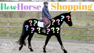 New Horse Shopping  The Search Begins AD  This Esme [upl. by Ellerihs]