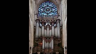 Vierne Final from Symphony op14 no1  Hans Stege [upl. by Eneroc]