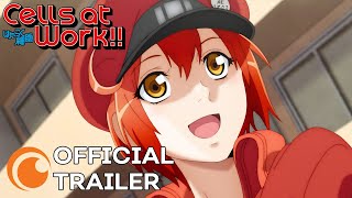 Cells at Work  OFFICIAL TRAILER [upl. by Onahpets]