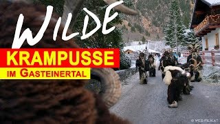 NEU Gasteiner Krampuslauf  Perchtenlauf mit Krampus Attacke [upl. by Gabbie]