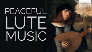 Peaceful Lute Music Vol1 [upl. by Enilauqcaj486]