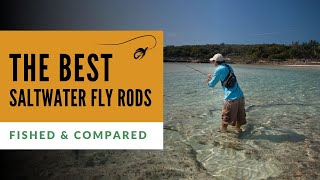 Best Saltwater Fly Rods Tested amp Compared [upl. by Naraa]