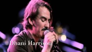 Dhani Harrison  SAVOY TRUFFLE COVER Beatles HD [upl. by Quackenbush]