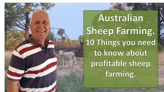 Sheep Farming Australia 10 Things you need to Know about Profitable sheep Production [upl. by Ricarda]