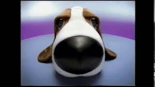 Dog turns around meme HD [upl. by Htir981]