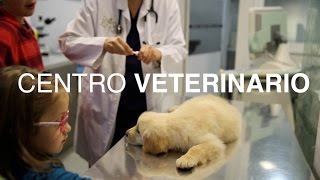 Centro veterinario en Sant Cugat  Barcelona  DOGKING [upl. by Eelaroc]