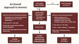 Anemia Lesson 5  An Approach to Diagnosis [upl. by Freda]