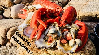 Coastal Foraging  Oysters  Lobsters and Clams  Cook Up On The Beach [upl. by Neufer]