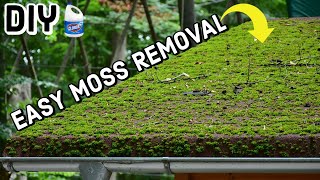 Remove Moss From Roof  DIY  2 Methods [upl. by Eiger]