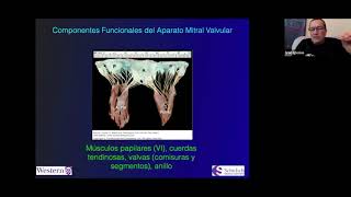 Ecocardiografia de la válvula mitral I WebinarSmact 9 [upl. by Nehr85]