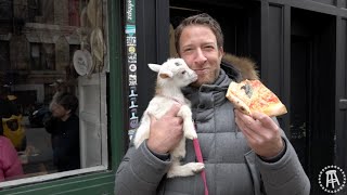 Barstool Pizza Review  Best Pizza Brooklyn NY Bonus Goats [upl. by Shyamal]