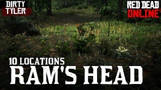 Rams Head Locations for Daily Challenges Red Dead Online RDR2 [upl. by Dalia482]