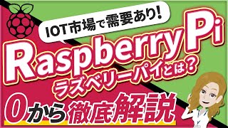 RaspberryPi（ラズベリーパイ）とは？特徴やできることをわかりやすく紹介！【初心者必見です】 [upl. by Layne520]