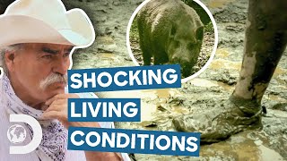 Most SHOCKING Homestead Living Conditions  Homestead Rescue [upl. by Lundt]