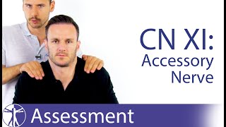 Cranial Nerve 11 Examination  Accessory Nerve Assessment for Physiotherapists [upl. by Sanfo]