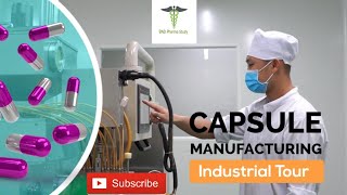 Capsules Manufacturing Process  Soft Gelatin Capsules [upl. by Anaej]