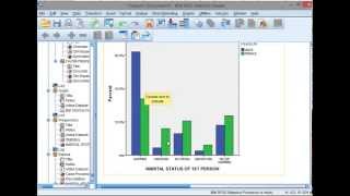 SPSS Clustered Bar Chart [upl. by Julian]