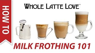 Milk Frothing for Beginners [upl. by Lledra]