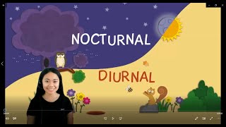 Nocturnal and Diurnal Animals  Grade 46 Science  T Ann [upl. by Annoet825]