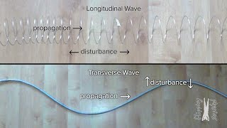 Introduction to Waves [upl. by Malvie607]