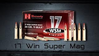 Hornady® 17 WSM [upl. by Lahcsap]