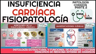 INSUFICIENCIA CARDÍACA FISIOPATOLOGÍA  GuiaMed [upl. by Genesa]