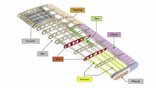 Major Aircraft Components [upl. by Eiramnwad119]