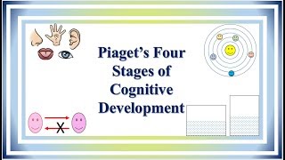 Piaget’s Four Stages of Cognitive Development [upl. by Annaer]