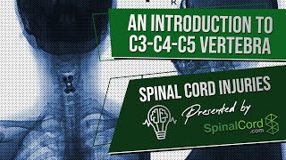 C3 C4 C5 Definitions Cervical Spinal Cord Injury Symptoms Causes Treatments and Recovery [upl. by Holly134]