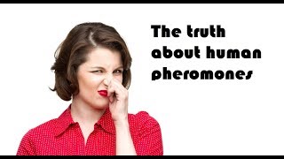 The truth about human pheromones [upl. by Kire]