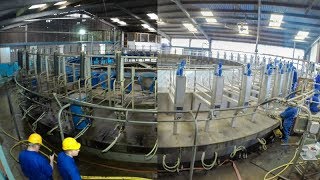 60 unit milking rotary parlour replaced in 1 day [upl. by Amaerd]