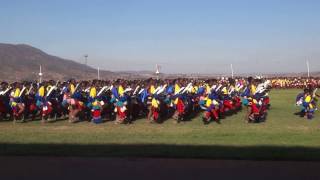 2016 Umhlanga Reed Dance ceremony in Swaziland [upl. by Camden199]