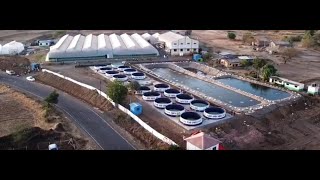 First Time In India Turmeric Vertical Farming By A S Agri And Aqua LLP Mahrashtra [upl. by Eirovi]