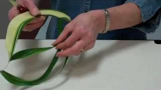 Design Tip Enhance Arrangement Using Trimmed Aspidistra Leaf [upl. by Artemas]