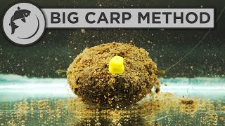 How To Fish The Method Feeder For BIG CARP [upl. by Jacobina355]