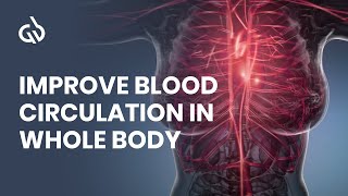 Blood Circulation Frequency Rife Frequency for Better Blood Flow [upl. by Calan]